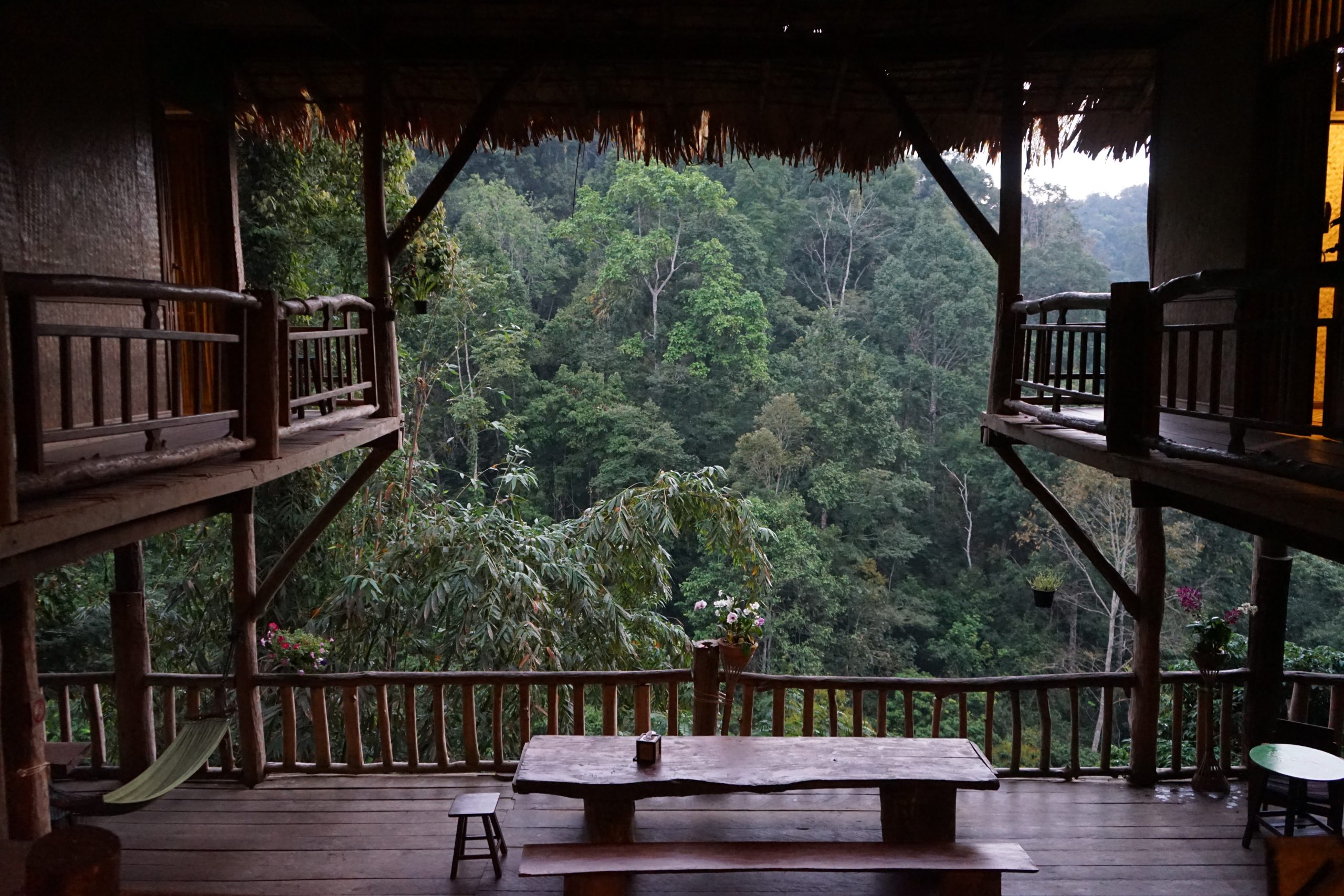 empty-chairs-table-against-trees-forest (1)
