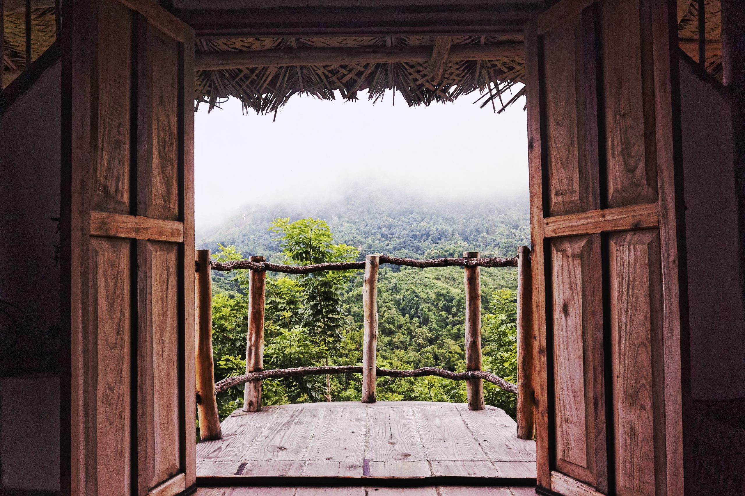 A wide angle shot of trees and nature seen from a building